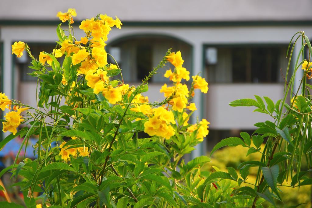 Aveda Blue Country Resort Panchgani Ngoại thất bức ảnh